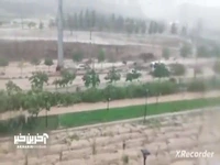 سیلاب در بلوار ناصری مشهد ۲ خودرو را با خود برد