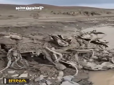 لاشه خودروی ۲ فوتی سیل در فریمان
