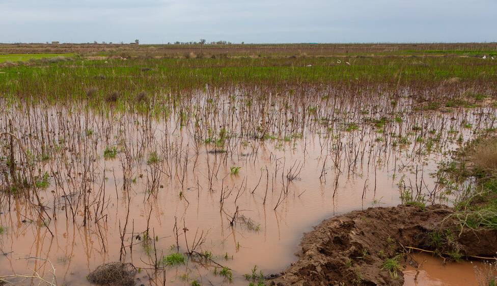 سیلاب به زمین‌های کشاورزی فاروج و شیروان خسارت زد