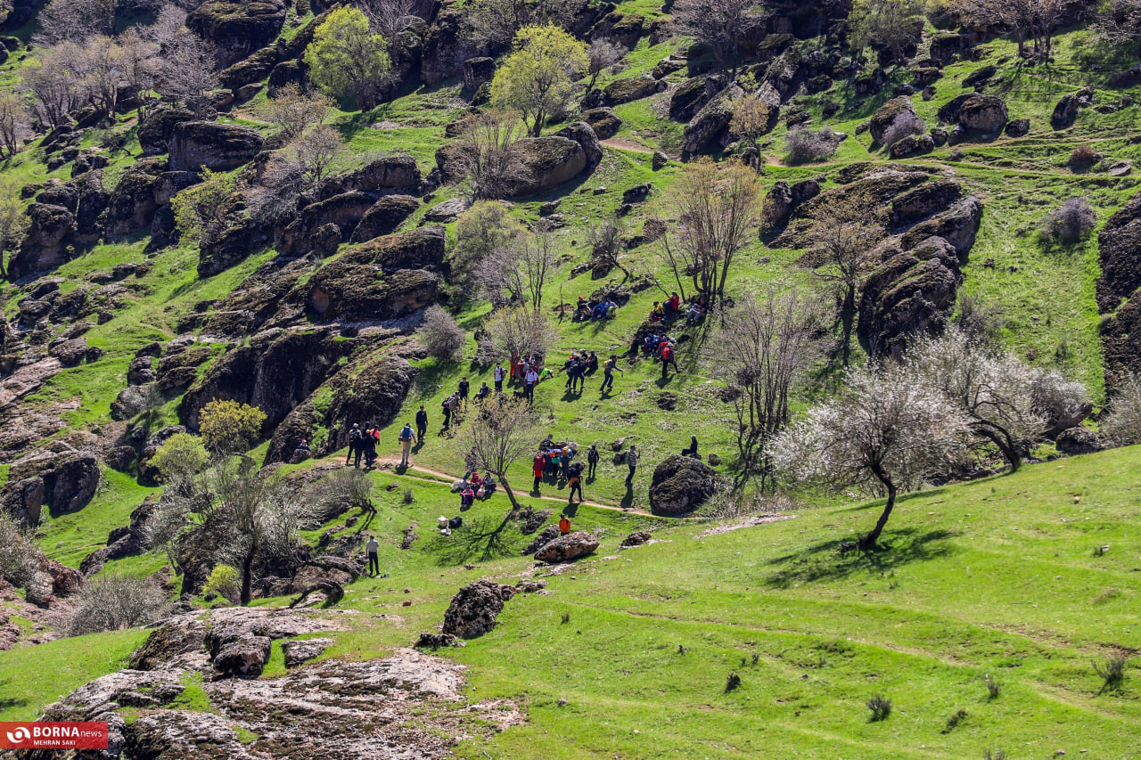 عکس/ مخمل کوه لرستان، نگین سبز در طبیعت بکر