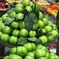 رئیس اتحادیه میوه و سبزی: کاهش قیمت میوه به ضرر کشاورز است! 