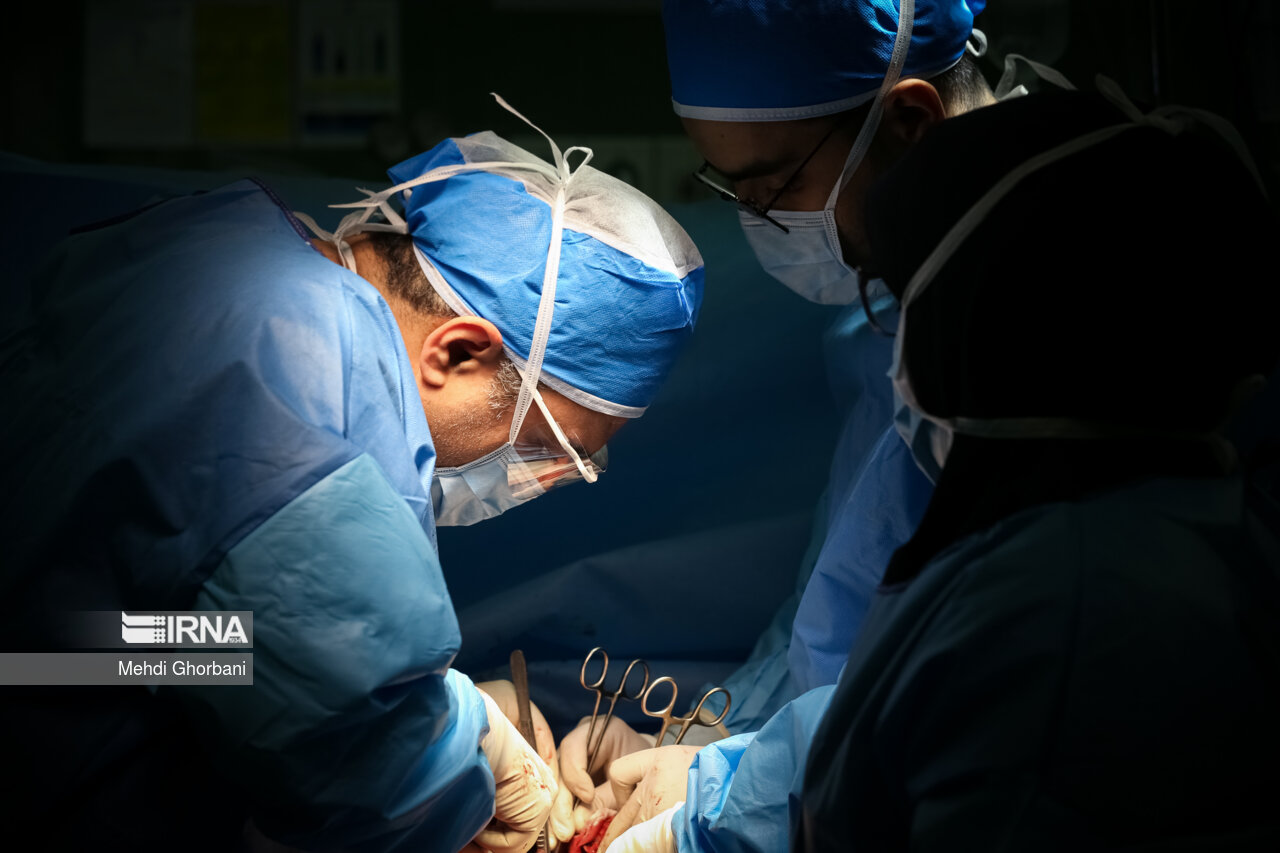 14 بیمار مرگ مغزی در خراسان جنوبی جان‌بخش شدند