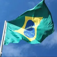 برزیل میزبان جام جهانی فوتبال زنان شد