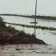 خسارت شدید سیلاب به بخش هزارمسجد شهرستان کلات