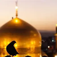 برگزاری جشن‌های مردمی امام رضا(ع) در مساجد و اماکن مذهبی فارس