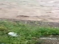 نجات‌یافتن یک شهروند از غرق‌شدن در سیلاب شاندیز توسط مردم