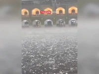 تلاش مردم برای نجات کبوتران حرم از زیر بارش تگرگ