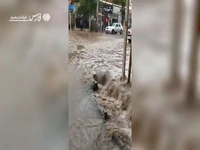 سیلاب در خیابان‌های باخرز