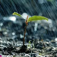 تقویت سامانه بارشی در استان اردبیل از فردا