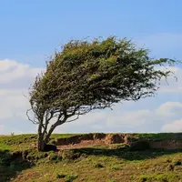سرعت وزش باد در برخی از نقاط استان همدان به ۶۱ کیلومتر بر ساعت رسید