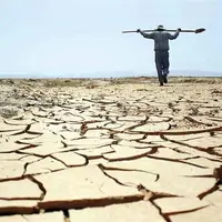 پرداخت ۷۰۰ میلیارد ریال خسارت نکشت به کشاورزان سیستانی