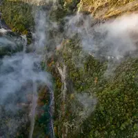 تصویر هوایی از جنگل انجیرچشمه رامیان در میان مه