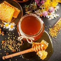 اینفوگرافی/ به بهانه روز جهانی زنبور عسل؛ خواص حیرت‌آور مصرف روزانه عسل