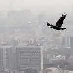 کیفیت هوای کلانشهر اصفهان در سه منطقه ناسالم برای همه