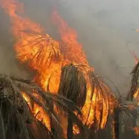 روستای سرباران میناب در محاصره آتش