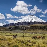 قدم زدن بر روی ابرها بر فراز بلندترین قله اکوادور