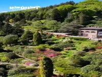 پارک سان گراتو یک ذخیره‌گاه گیاه‌شناسی در سوئیس 