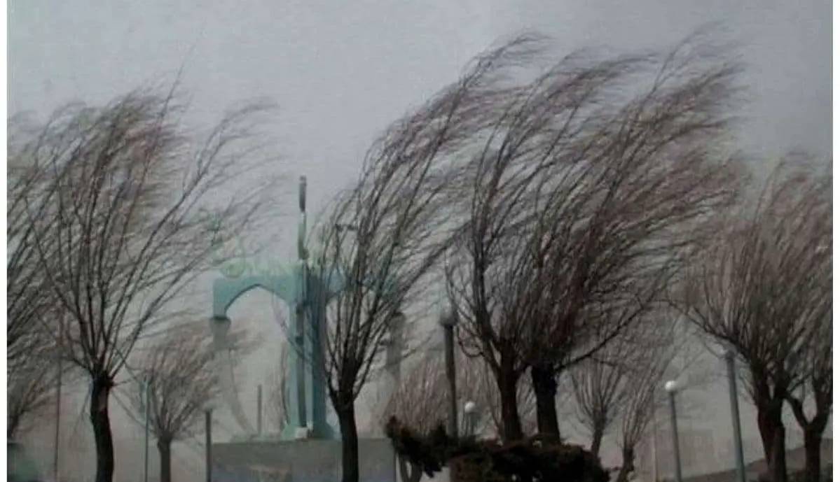سرعت وزش باد در تهران به بیش از 80 کیلومتر رسید