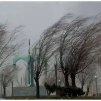 سرعت وزش باد در تهران به بیش از ۸۰ کیلومتر رسید