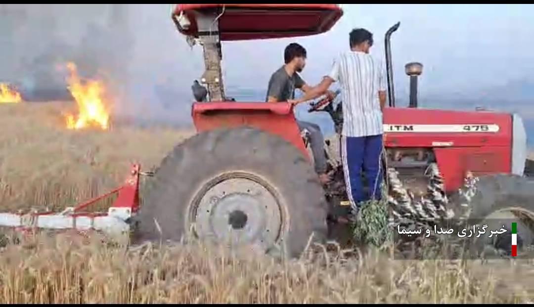 دومین آتش‌سوزی مزارع گندم در شهرستان باشت
