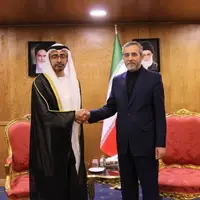 عکس/ دیدار وزیر خارجه امارات با علی باقری