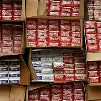ضبط کالا و جریمه میلیاردی فرجام قاچاق تنباکو خارجی در همدان