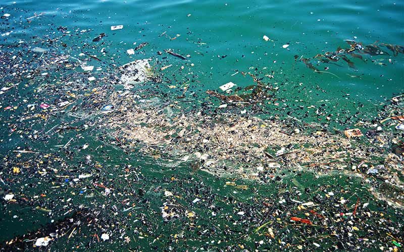 زباله ریختن تو دریا چه بلایی سر موجودات زنده میاره!