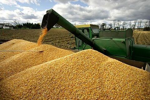 خرید تضمینی 1/5 میلیون تن گندم در خوزستان