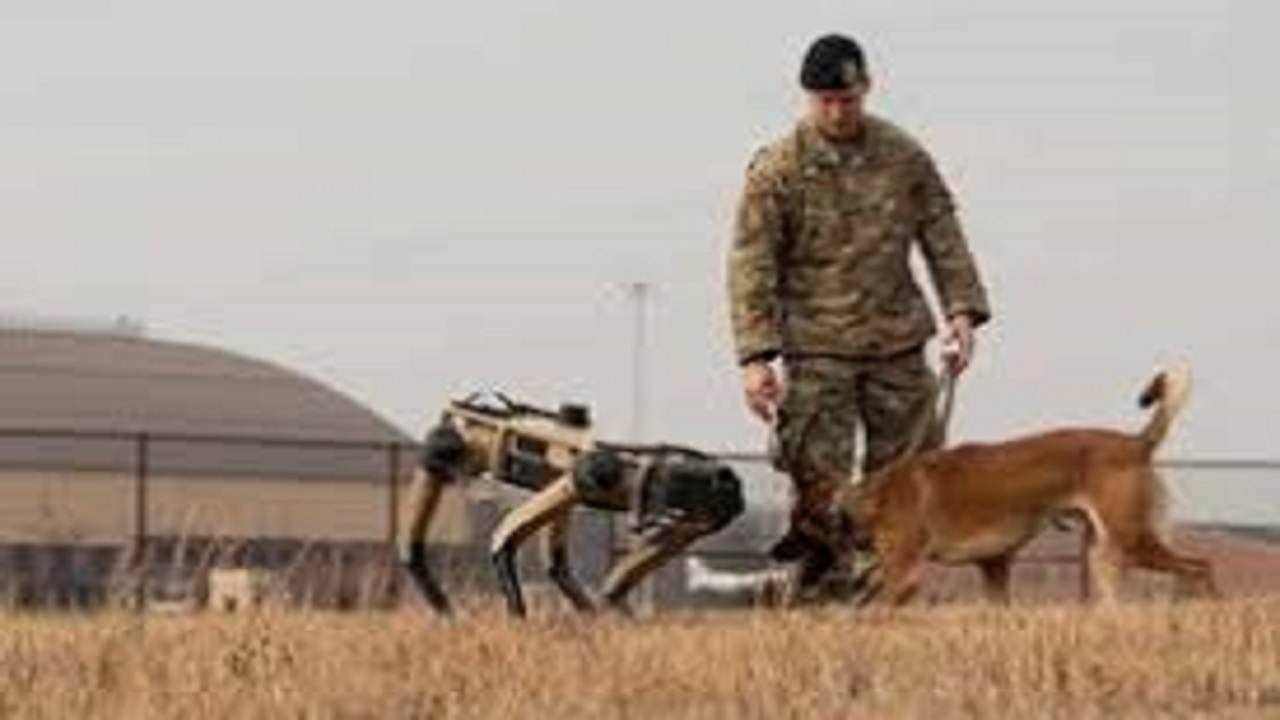 گشت زدن سرباز چینی با سگ رباتیک