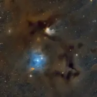 تصویر روز ناسا؛ ابر مولکولی آفتاب‌پرست