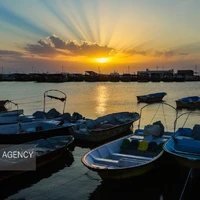 عکس/ بوشهر شهر دریا، خورشید و نخل