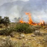مهار آتش در جنگل‌های کوه سیاه رستم و از بین رفتن ۶۰ هکتار از طبیعت