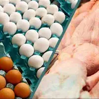 توقف صادرات مرغ و تخم مرغ ایران به عراق با ممنوعیت فصلی