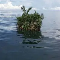 کشف کوچک‌ترین جزیره جهان