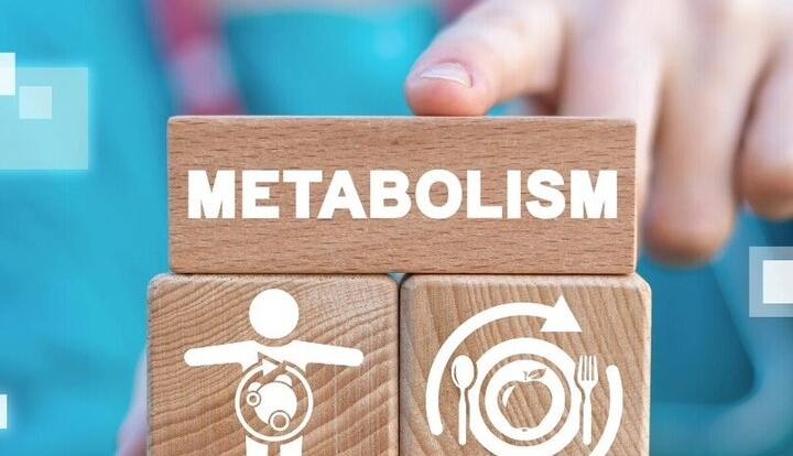 این 3 عادت غذایی، متابولیسم را مختل می‌کنند