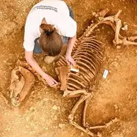 گوناگون/ کشف اسب‌هایی که ۲۰۰۰ سال پیش دفن شدند