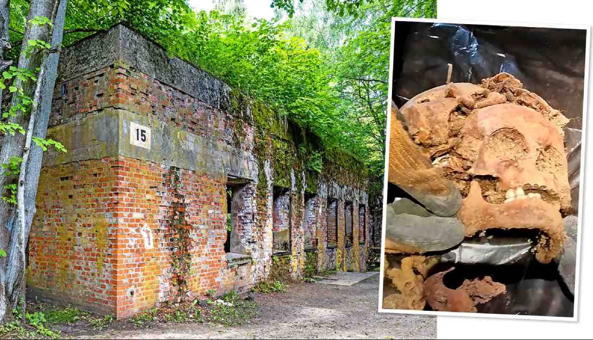 گوناگون/ کشف ۵ جسد با دست و پاهای قطع شده در قرارگاه آدولف هیتلر در لهستان