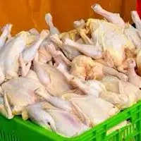 کشف 740 کیلوگرم گوشت مرغ فاقد مجوز در نهبندان