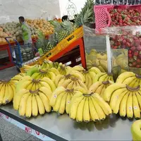 اعلام قیمت انواع میوه در میادین و بازار‌های میوه و تره‌بار