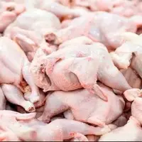 گزارش مرکز آمار از کاهش قیمت گوشت مرغ در اردیبهشت‌ امسال
