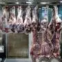 آغاز توزیع ۲۰ تن گوشت گرم گوساله در استان بوشهر