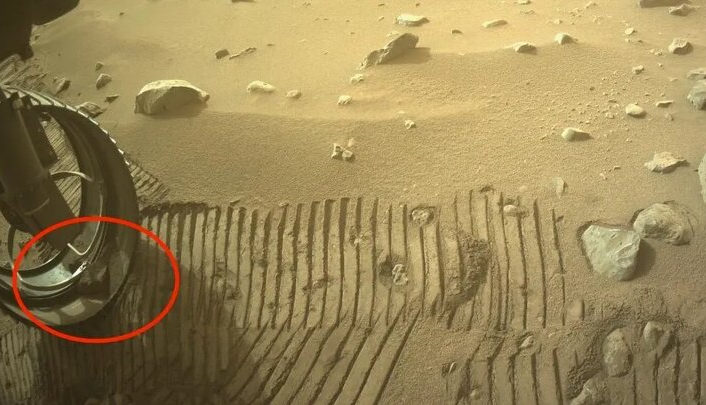 مریخ‌نورد ناسا در خاک مریخ حیوان خانگی پیدا کرد!