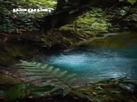 رودخانه ای در پارک ملی آتشفشان تنوریو در کاستاریکا 