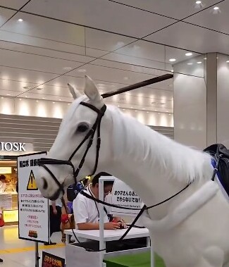 رونمایی ژاپن از نخستین اسب رباتی