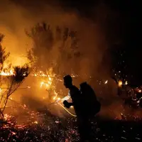 آتش‌ِ پارک ملی کرخه با کمک نیروهای مردمی خاموش شد