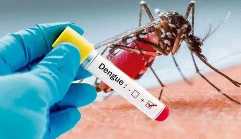 ثبت ۲ فوتی بر اثر تب دانگی در فارس
