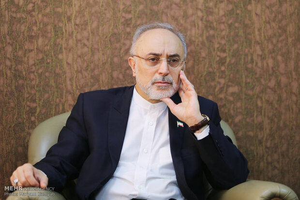صالحی: انقلاب اسلامی برای اصلاح دنیا و آخرت مردم است