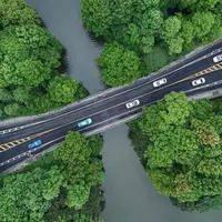 جاده ای جنگلی در هانگژو چین