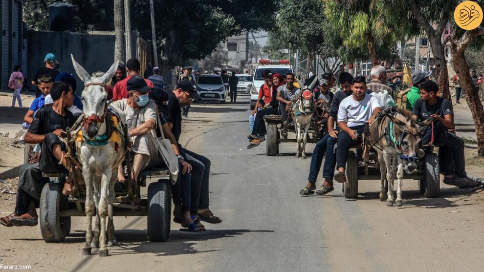 اهالی غزه به استفاده از گاری و الاغ روی آوردند