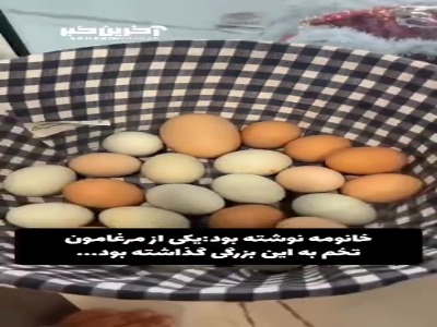 پدیده عجیبِ جای گرفتن یک تخم مرغ در دل تخممرغی دیگر!